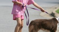 girl_walking_dog