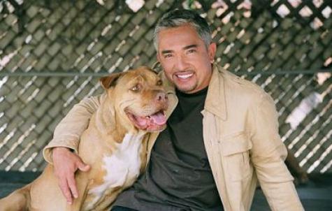 cesar_milan_with_dog