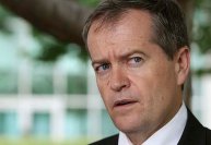 bill-shorten