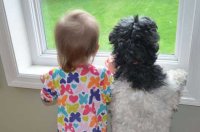 bestfriends-dog-and-baby
