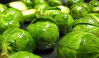 brussels-sprout