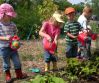 children_gardening