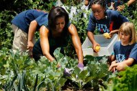 michelle-obama-white-house-veg-garden