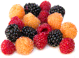 mixed_berries