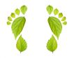 green_footprints