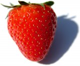 strawberry