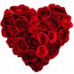 valentines_day_roses