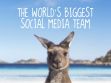 social_media_team_-_kangaroo