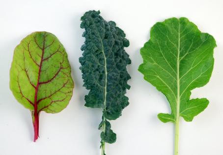 dark_leafy_greens