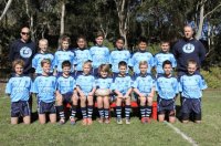 u12_div_1_beacon_hill_bears