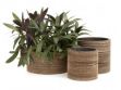 mothersday-corrugated_pots