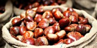 chestnuts