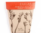 kangaroo-paw-gift-of-seeds