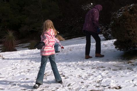 cradlemountain3