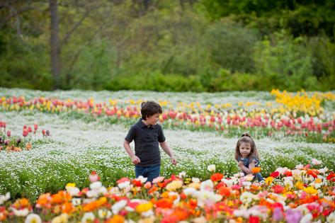 floriade