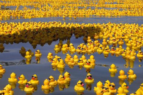 rubber_ducks