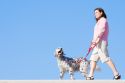 woman_walking_dog