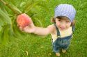 child_with_peach