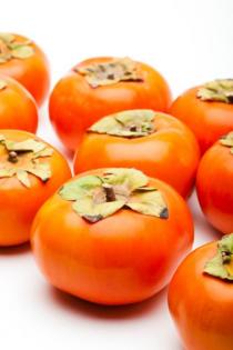 persimmon