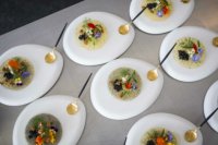 Taste of melbourne 2015 food