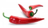freshchilli