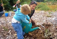 deanna--clara-planting-tre